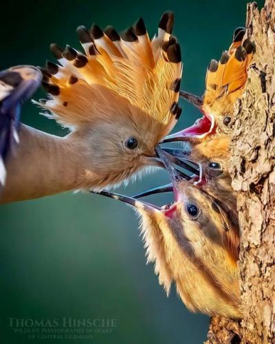 241157402_402628091240870_2038014882319025764_n