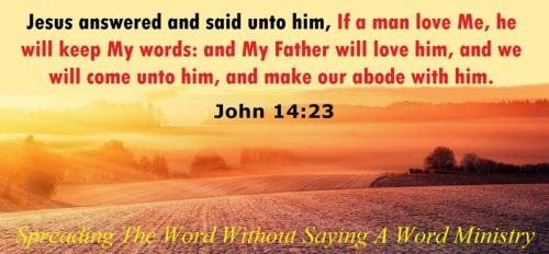 203012355_526464778703587_6417043287729787123_n