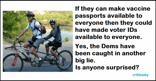 voter_id_lie_exposed