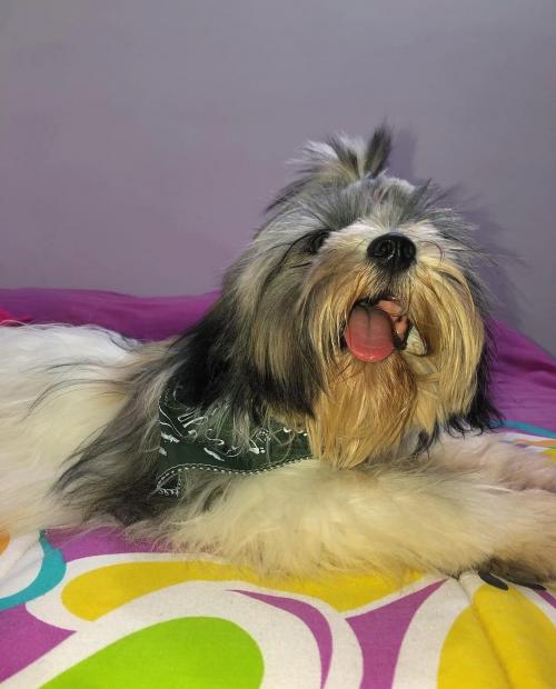 IMG_20210902_145636_749