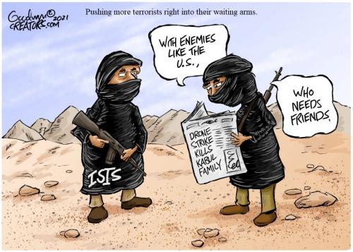 afghanbidendronekills