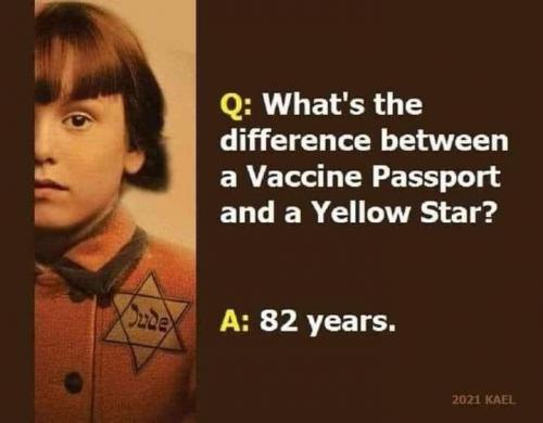 241153026_988082492033939_744773331733215407_n