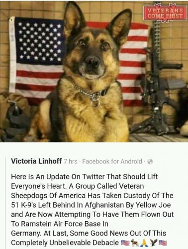 FB_IMG_16305047454740810