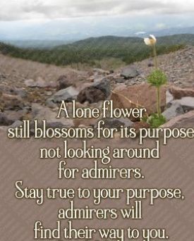 20:52:07 GMT-0500 (CDT)