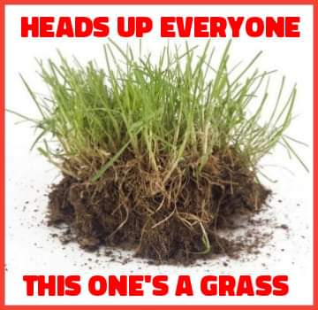 08:22:28 GMT+0100 (BST)