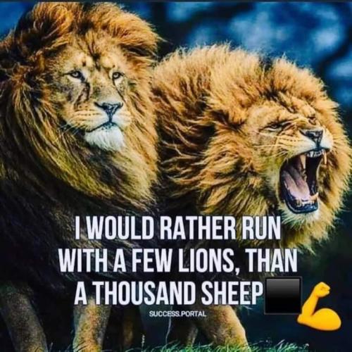 11:14:16 GMT-0400 (EDT).image