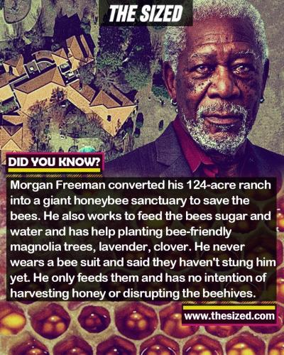 241759882_384376339795356_1279816860960783035_n