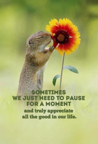 08:45:47 GMT-0400 (EDT).image