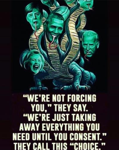 Screenshot_20210926-180706_Instagram