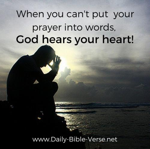 Screenshot_20210919-051939_DuckDuckGo