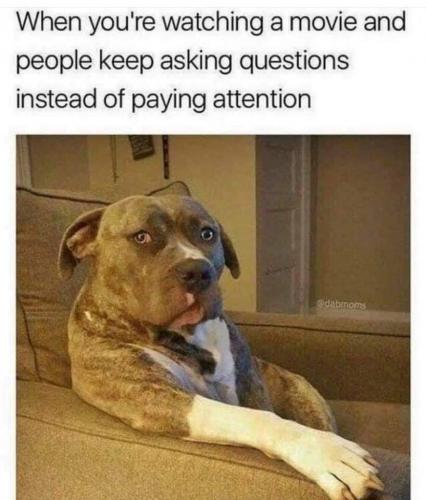 FB_IMG_1630702954871