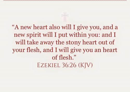 D4129A24-03A7-43A8-A731-897F2E888933