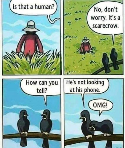 240895724_345675057292266_4019093375228750782_n