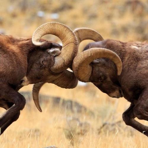 08:25:58 GMT-0500 (CDT)