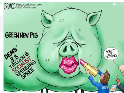 green pig  c