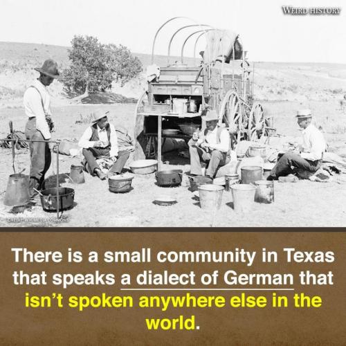 242499300_1046262559251290_7276918418198297876_n