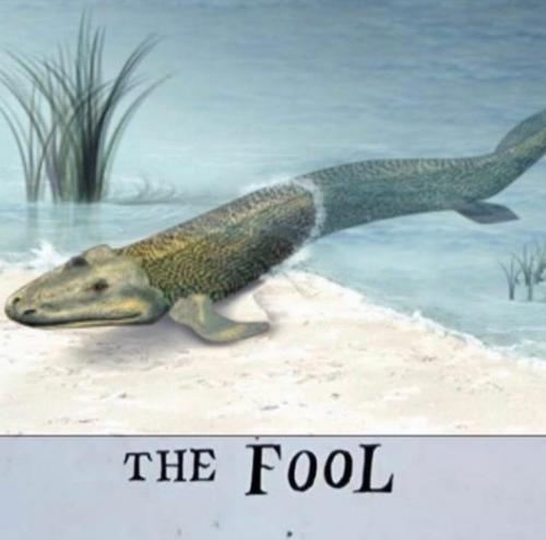 241055285_4335381553243437_881057605816668124_n