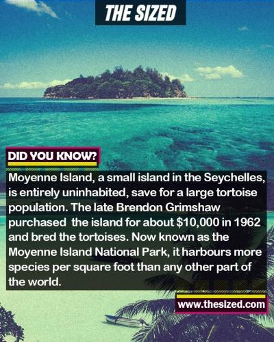 242822402_391558119077178_8113113406807750032_n