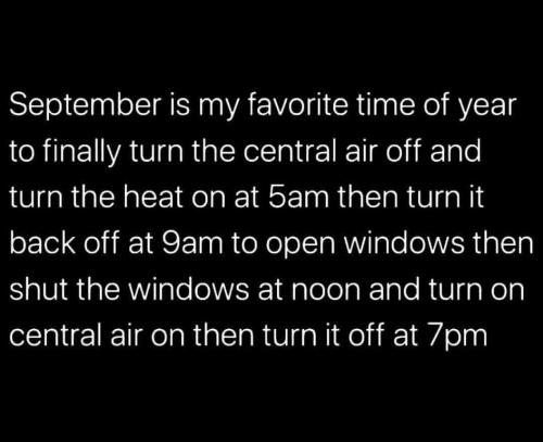 242601156_312858180642532_7935461099409882134_n