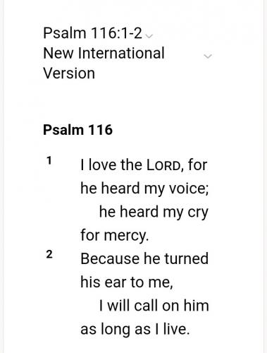 Screenshot_20210919-053713_DuckDuckGo