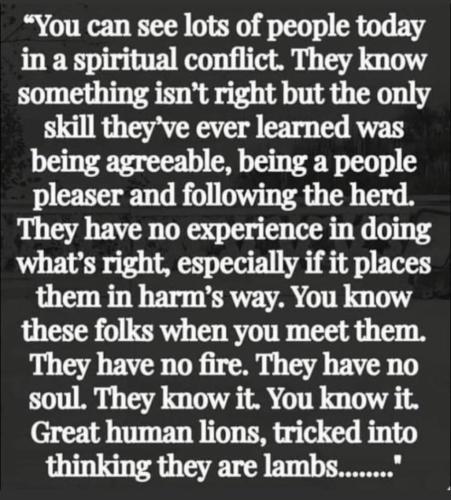 photo_2021-09-29_20-01-58