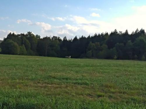 PHOTO_20210919_172123