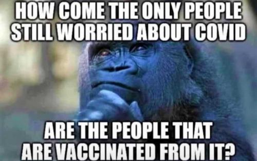 XFC2gKkNH2xw3vkcL2m4_20_21f19f96c2b1cea2c336c28ecda229c1_image