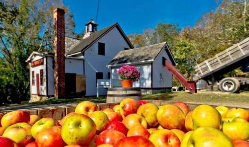 241687412_1738455496355521_926836960954039606_n