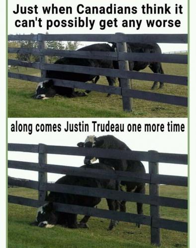 IMG_20210908_110344_708~2