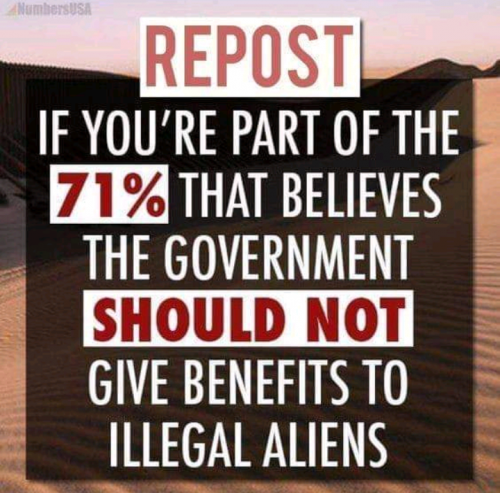 benefits illegals c