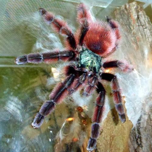 241576894_4120214318090413_7697025616544550278_n