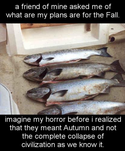 a friend of mine asked me of what are my plans are for the Fall
