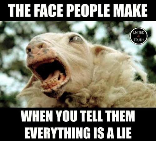 FB_IMG_1631667407780