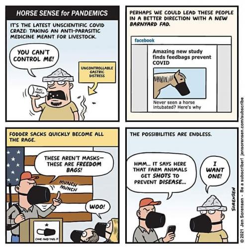 FB_IMG_1632021202354