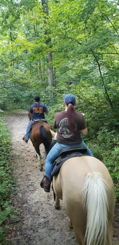 20:50:08 GMT-0400 (EDT)