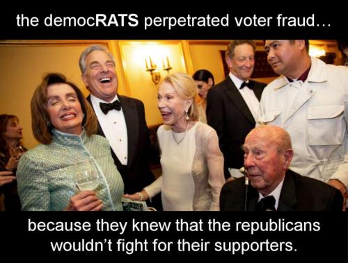 voterfraud228