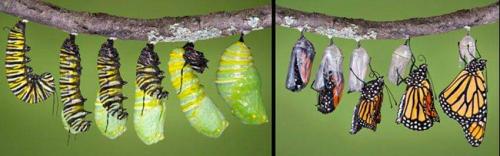 21:41:33 GMT-0700 (PDT)