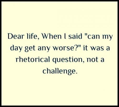 tumblr_0bd87d959371a9feccdba2d7219e2814_d0067398_540