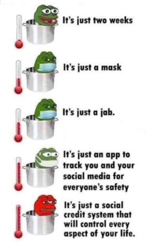 FB_IMG_1631240652910