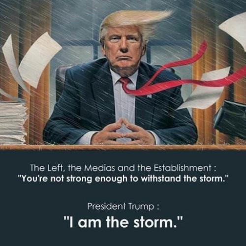 trump storm