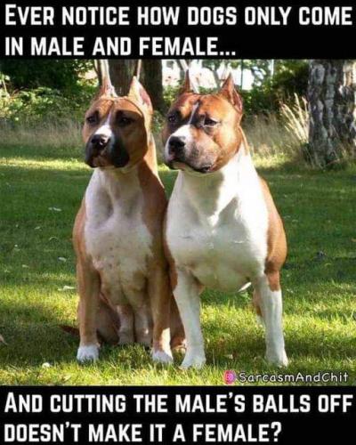 FB_IMG_1632069923085