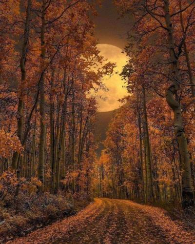 FB_IMG_1632565826634