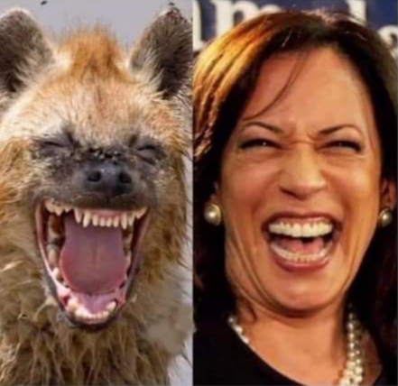 14:49:46 GMT-0500 (CDT)