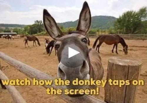 FB_IMG_1632025880038