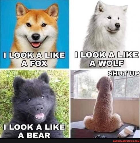 17:11:49 GMT-0400 (EDT).image