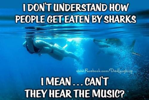 00:31:59 GMT-0400 (EDT).image