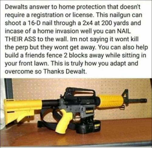 dewalts home protection