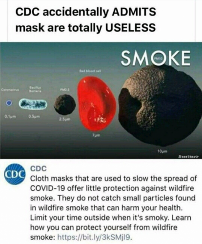 0d81a73a3c395a9fd08d631a7ee2cbb3