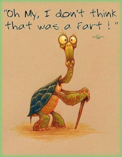 240961217_1983177845174015_4227006075090928714_n