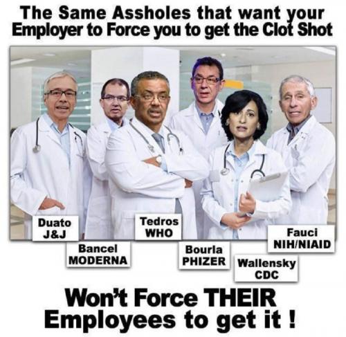 image_1631365784.634